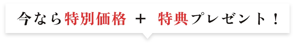 今なら特別価格+特典プレゼント！