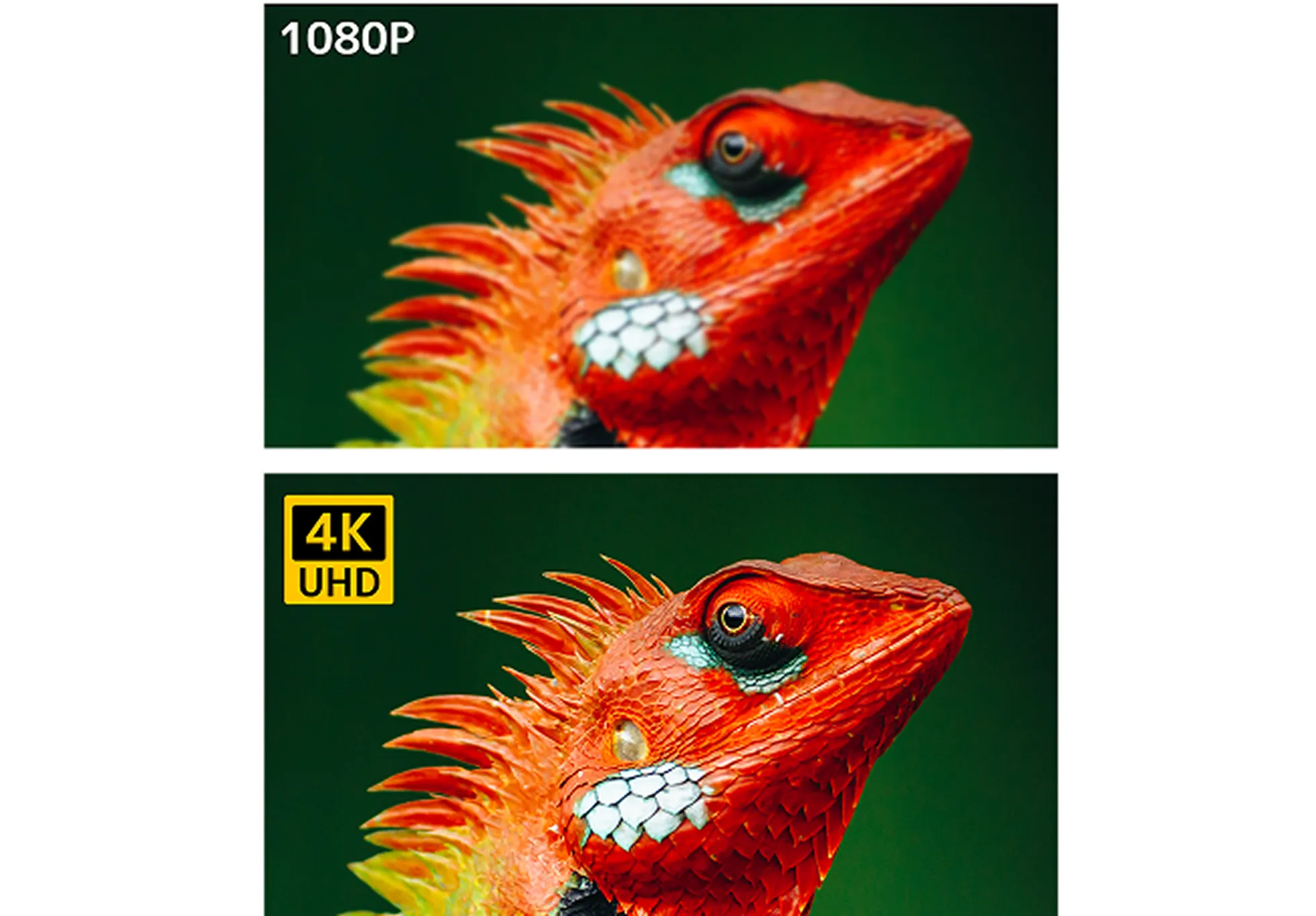 プロクオリティの4K映像をワイヤレスで